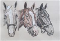 Charcoal drawing of three horse heads by Claude Buckley