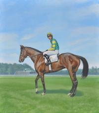 Equine portrait of Sunshine Numbers by Claude Buckley