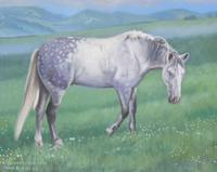 Oil portrait of an andalussian horse by Claude Buckley