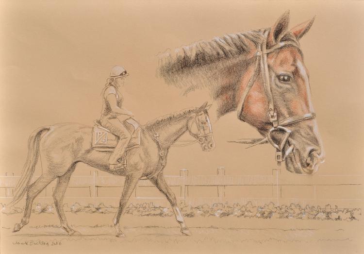 pastel drawing of a race horse by Claude Buckley- Sunshine Numbers, 11 x 14 in, pastel pencils on paper, private collection