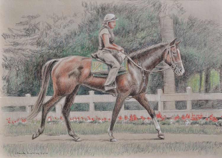 pastel drawing of a race horse by Claude Buckley- Sunshine Numbers, 11 x 14 in, pastel pencils on paper private collection