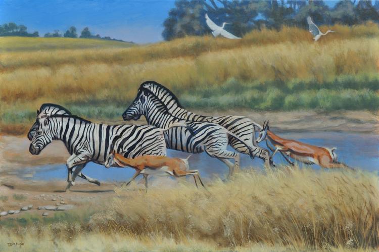 oil painting by Claude Buckley- Zebras, oil on canvas, private collection, Camden, SC